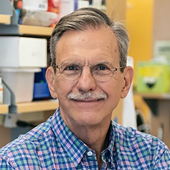 Tim Springer, PhD portrait
