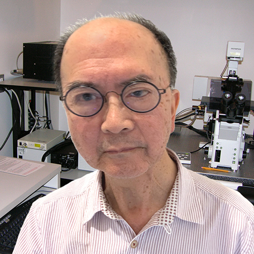 Harry Leung portrait