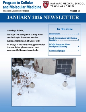 Newsletter-01-2026