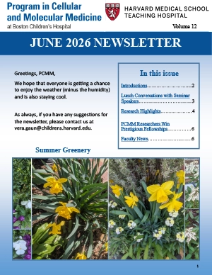 Newsletter-06-2026