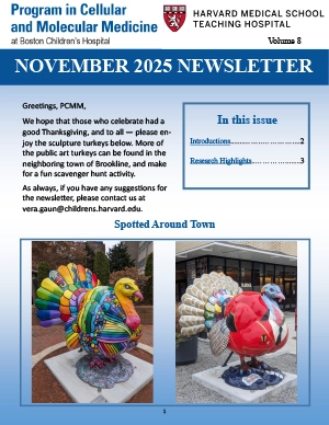 Newsletter-11-2025